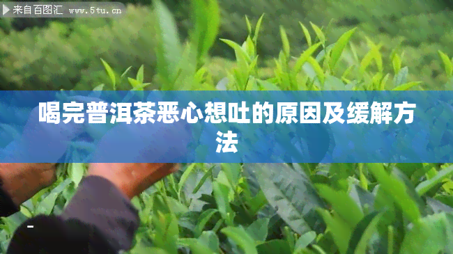 喝完普洱茶恶心想吐的原因及缓解方法