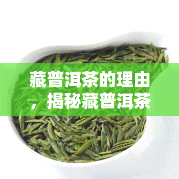 藏普洱茶的理由，揭秘藏普洱茶的五大理由，为何它备受追捧？