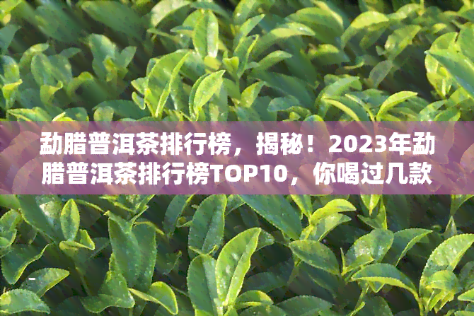 勐腊普洱茶排行榜，揭秘！2023年勐腊普洱茶排行榜TOP10，你喝过几款？