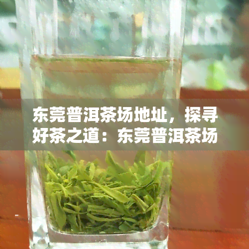 东莞普洱茶场地址，探寻好茶之道：东莞普洱茶场地址全攻略