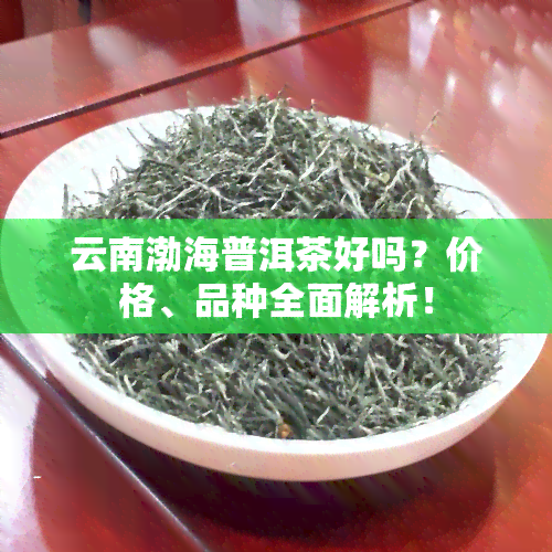 云南渤海普洱茶好吗？价格、品种全面解析！