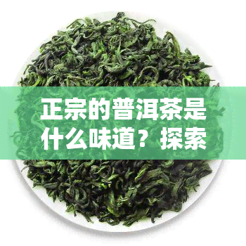 正宗的普洱茶是什么味道？探索其独特口感与真正韵味