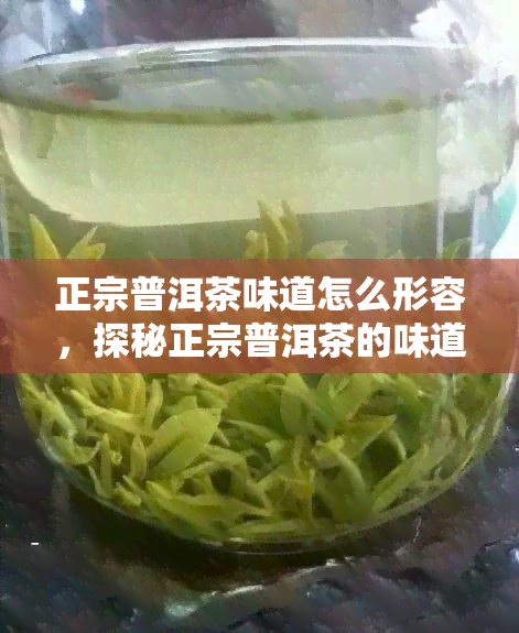 正宗普洱茶味道怎么形容，探秘正宗普洱茶的味道：如何用语言形容它的独特风味？