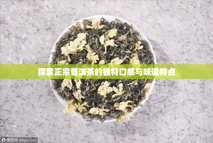 探索正宗普洱茶的独特口感与味道特点