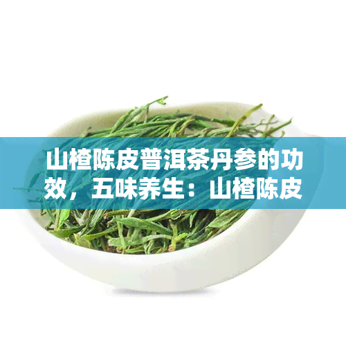 山楂陈皮普洱茶丹参的功效，五味养生：山楂陈皮普洱茶丹参的功效解析