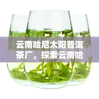 云南哈尼太阳普洱茶厂，探索云南哈尼太阳普洱茶厂：品味独特茶叶的制作过程与历文化