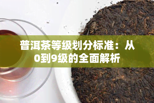 普洱茶等级划分标准：从0到9级的全面解析