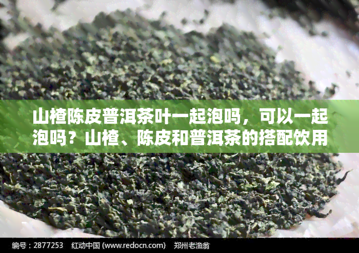 山楂陈皮普洱茶叶一起泡吗，可以一起泡吗？山楂、陈皮和普洱茶的搭配饮用探讨