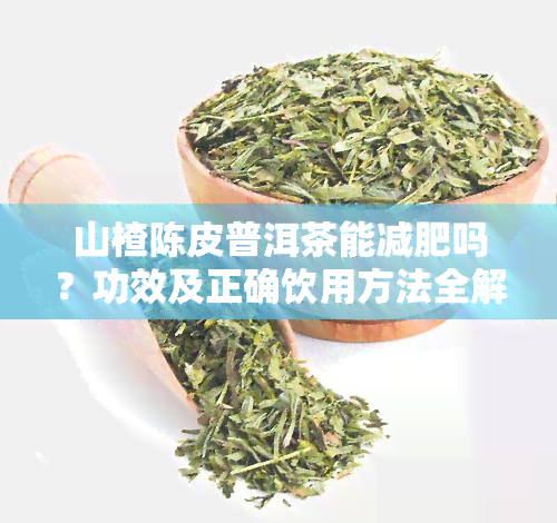 山楂陈皮普洱茶能减肥吗？功效及正确饮用方法全解析