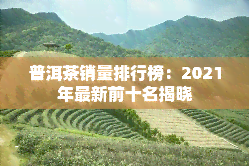 普洱茶销量排行榜：2021年最新前十名揭晓