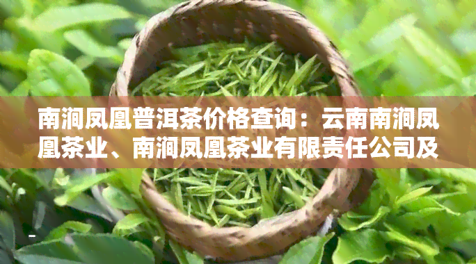 南涧凤凰普洱茶价格查询：云南南涧凤凰茶业、南涧凤凰茶业有限责任公司及南涧县凤凰茶业产品质量对比与评价