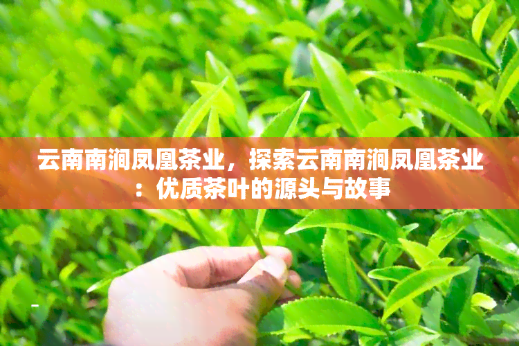 云南南涧凤凰茶业，探索云南南涧凤凰茶业：优质茶叶的源头与故事