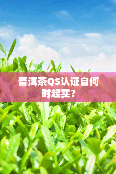 普洱茶QS认证自何时起实？