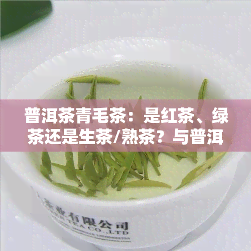 普洱茶青毛茶：是红茶、绿茶还是生茶/熟茶？与普洱茶有何区别？价格是多少？