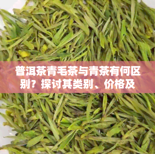 普洱茶青毛茶与青茶有何区别？探讨其类别、价格及制作工艺