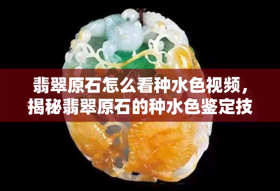 翡翠原石怎么看种水     ，揭秘翡翠原石的种水色鉴定技巧！看视频学习如何快速辨别真伪