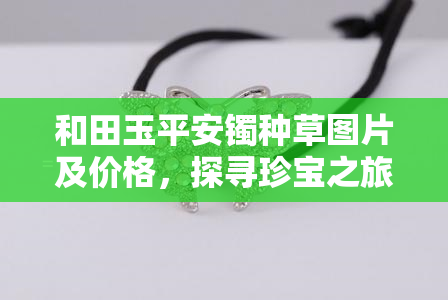 和田玉平安镯种草图片及价格，探寻珍宝之旅：和田玉平安镯的种草图片及价格一览