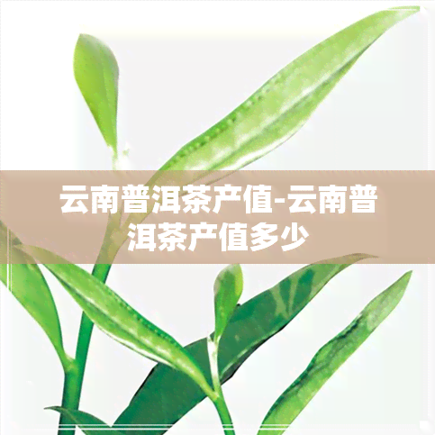 云南普洱茶产值-云南普洱茶产值多少