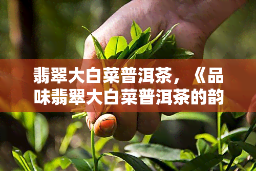 翡翠大白菜普洱茶，《品味翡翠大白菜普洱茶的韵味》