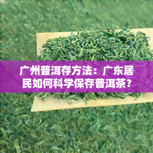 广州普洱存方法：广东居民如何科学保存普洱茶？