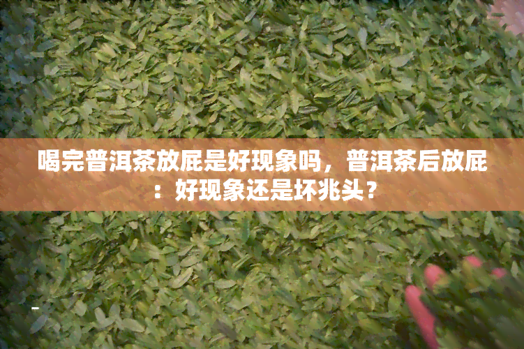 喝完普洱茶放屁是好现象吗，普洱茶后放屁：好现象还是坏兆头？