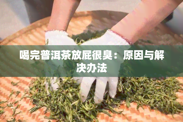 喝完普洱茶放屁很臭：原因与解决办法