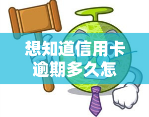 想知道信用卡逾期多久怎么查？完整记录、具体时间及还款信息如何获取？