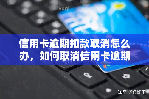 信用卡逾期扣款取消怎么办，如何取消信用卡逾期扣款？步骤解析