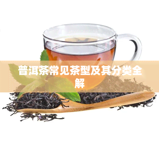 普洱茶常见茶型及其分类全解