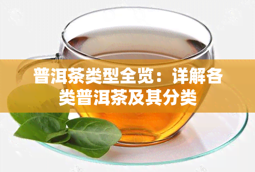 普洱茶类型全览：详解各类普洱茶及其分类