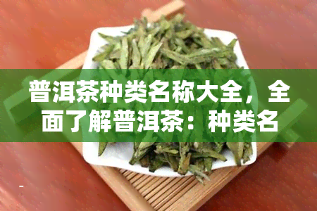 普洱茶种类名称大全，全面了解普洱茶：种类名称大全解析