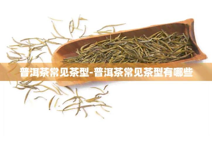 普洱茶常见茶型-普洱茶常见茶型有哪些