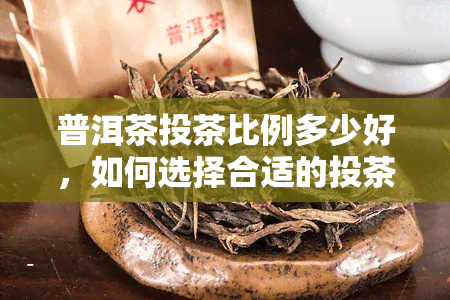 普洱茶投茶比例多少好，如何选择合适的投茶比例？普洱茶的投茶比例多少？