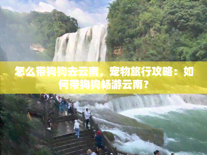 怎么带狗狗去云南，宠物旅行攻略：如何带狗狗畅游云南？