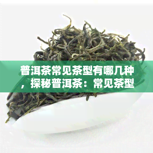 普洱茶常见茶型有哪几种，探秘普洱茶：常见茶型大盘点