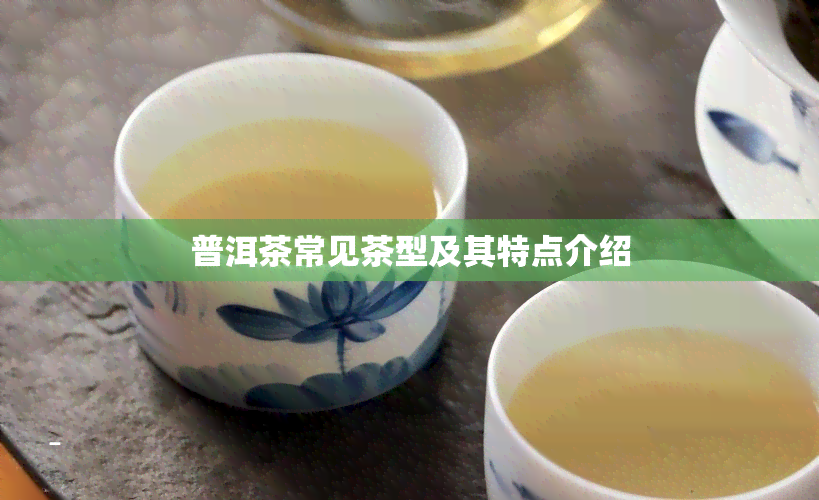 普洱茶常见茶型及其特点介绍