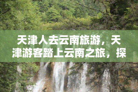 天津人去云南旅游，天津游客踏上云南之旅，探索神秘的彩云之南