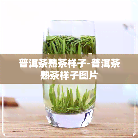 普洱茶熟茶样子-普洱茶熟茶样子图片