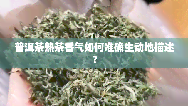 普洱茶熟茶香气如何准确生动地描述？