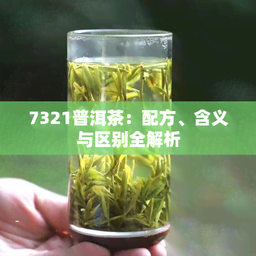 7321普洱茶：配方、含义与区别全解析