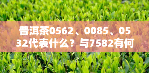 普洱茶0562、0085、0532代表什么？与7582有何区别？全解！