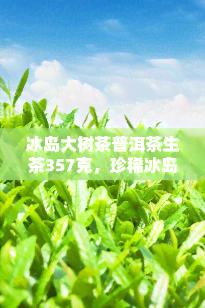 冰岛大树茶普洱茶生茶357克，珍稀冰岛大树茶叶，普洱生茶357克，品味大自然馈赠