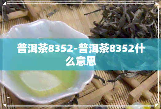 普洱茶8352-普洱茶8352什么意思