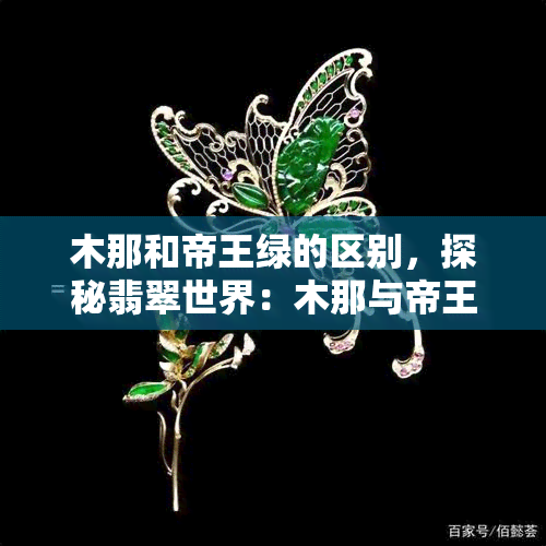 木那和帝王绿的区别，探秘翡翠世界：木那与帝王绿的差异与价值比较