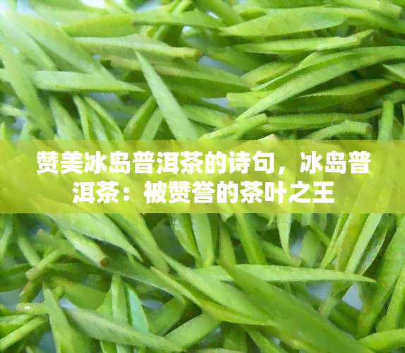 赞美冰岛普洱茶的诗句，冰岛普洱茶：被赞誉的茶叶之王