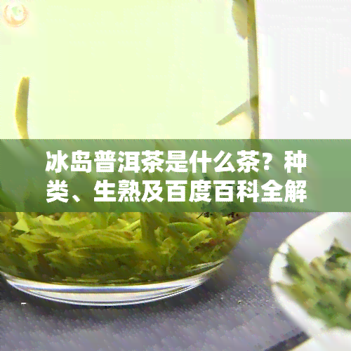 冰岛普洱茶是什么茶？种类、生熟及百度百科全解