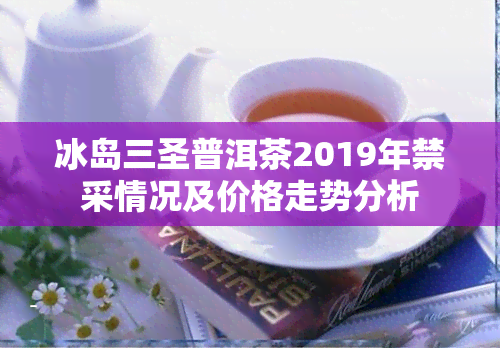 冰岛三圣普洱茶2019年禁采情况及价格走势分析