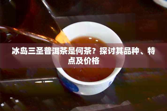 冰岛三圣普洱茶是何茶？探讨其品种、特点及价格