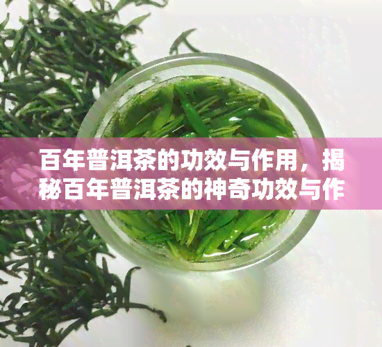 百年普洱茶的功效与作用，揭秘百年普洱茶的神奇功效与作用