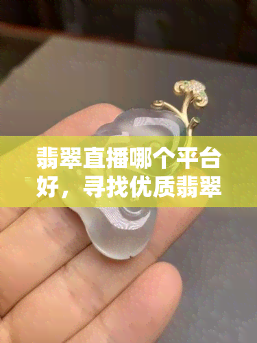 翡翠直播哪个平台好，寻找优质翡翠直播？看这篇，为你推荐更佳平台！